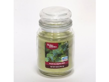 FRESH EUCALYPTUS MINT